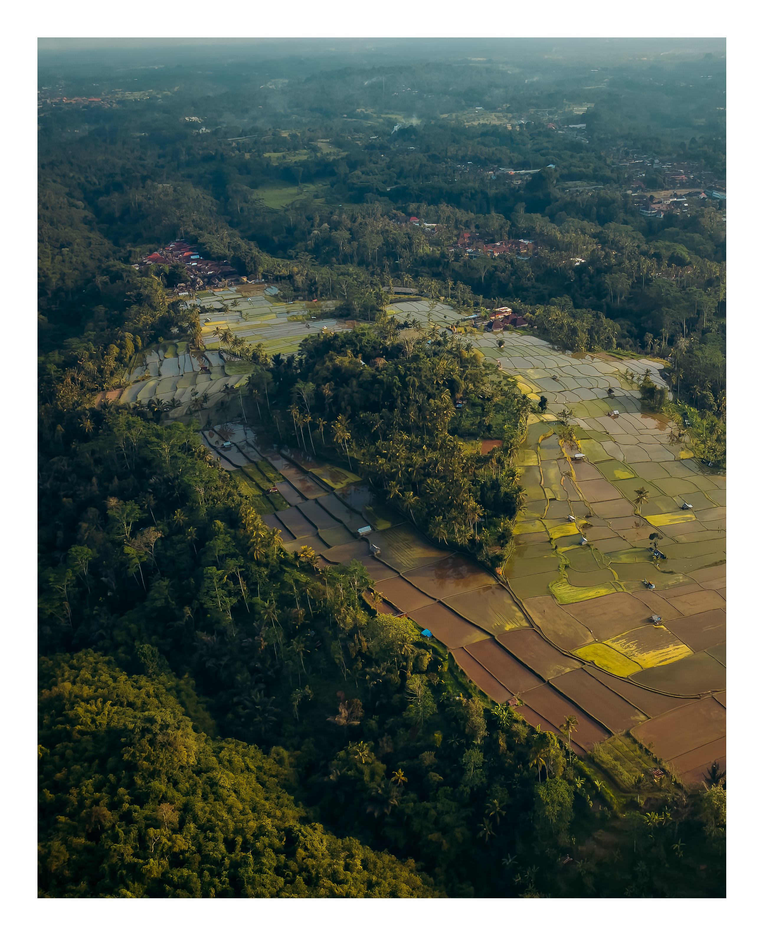Rice terraces from the air, Bali — destination photography by Samuel John Ford
