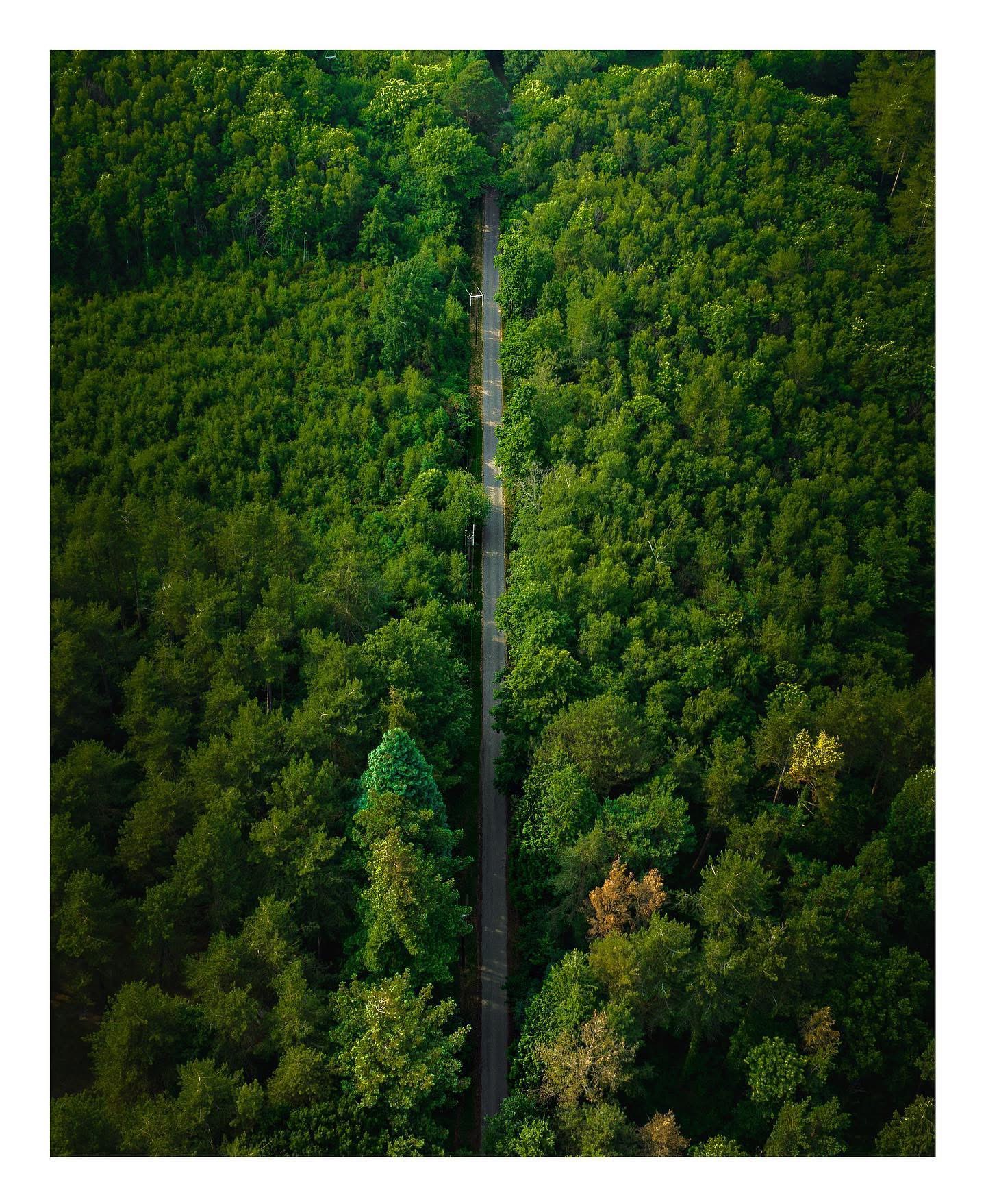 Bay, forest and boats aerial, Isle of Wight — destination photography by Samuel John Ford