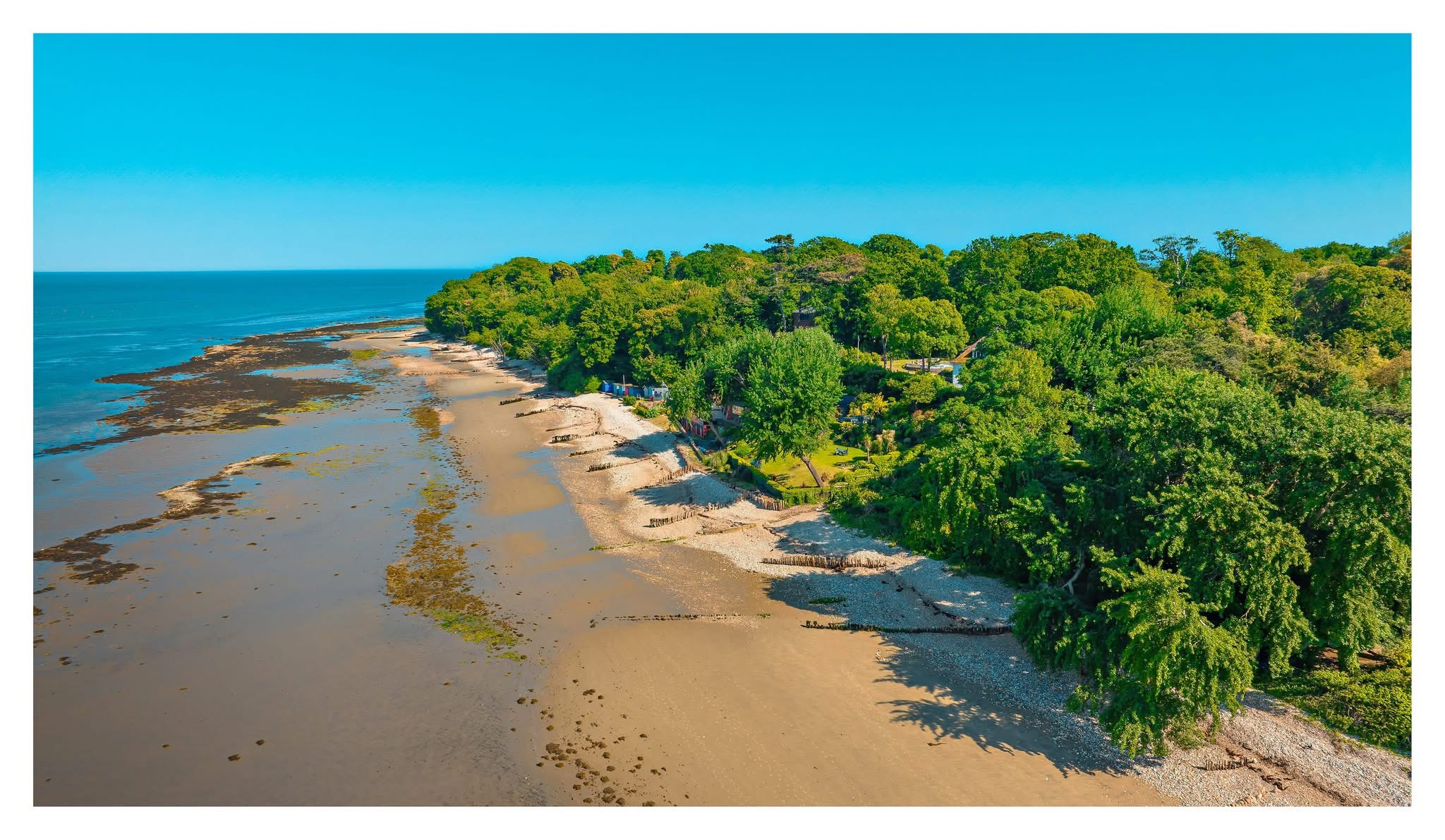 Forest meeting beach and groynes aerial, Isle of Wight — coastal photography by Samuel John Ford