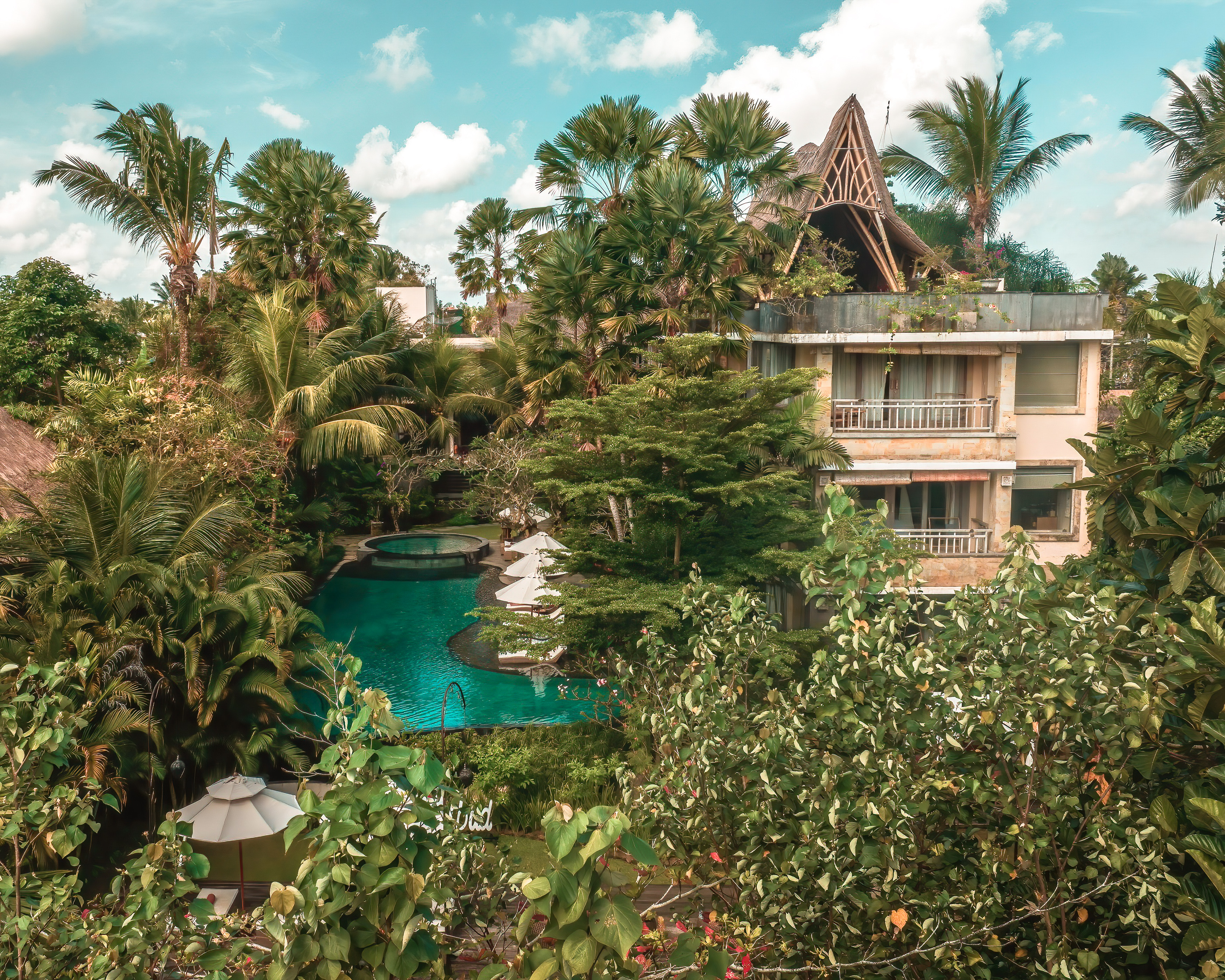 Jungle resort bamboo roof and pool deck — hospitality photography by Samuel John Ford