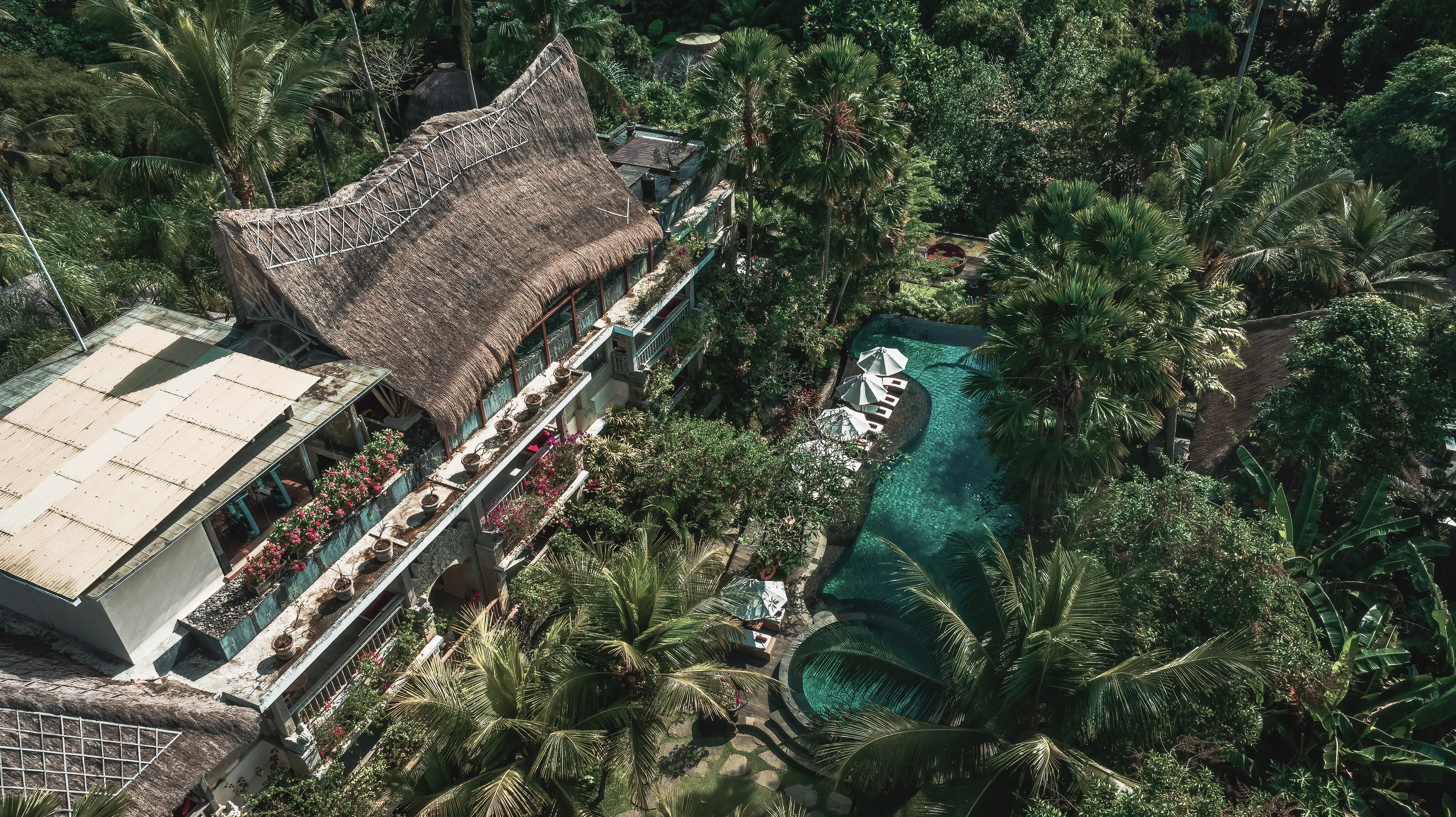 Thatched resort pool terrace in the jungle — hotel photography by Samuel John Ford