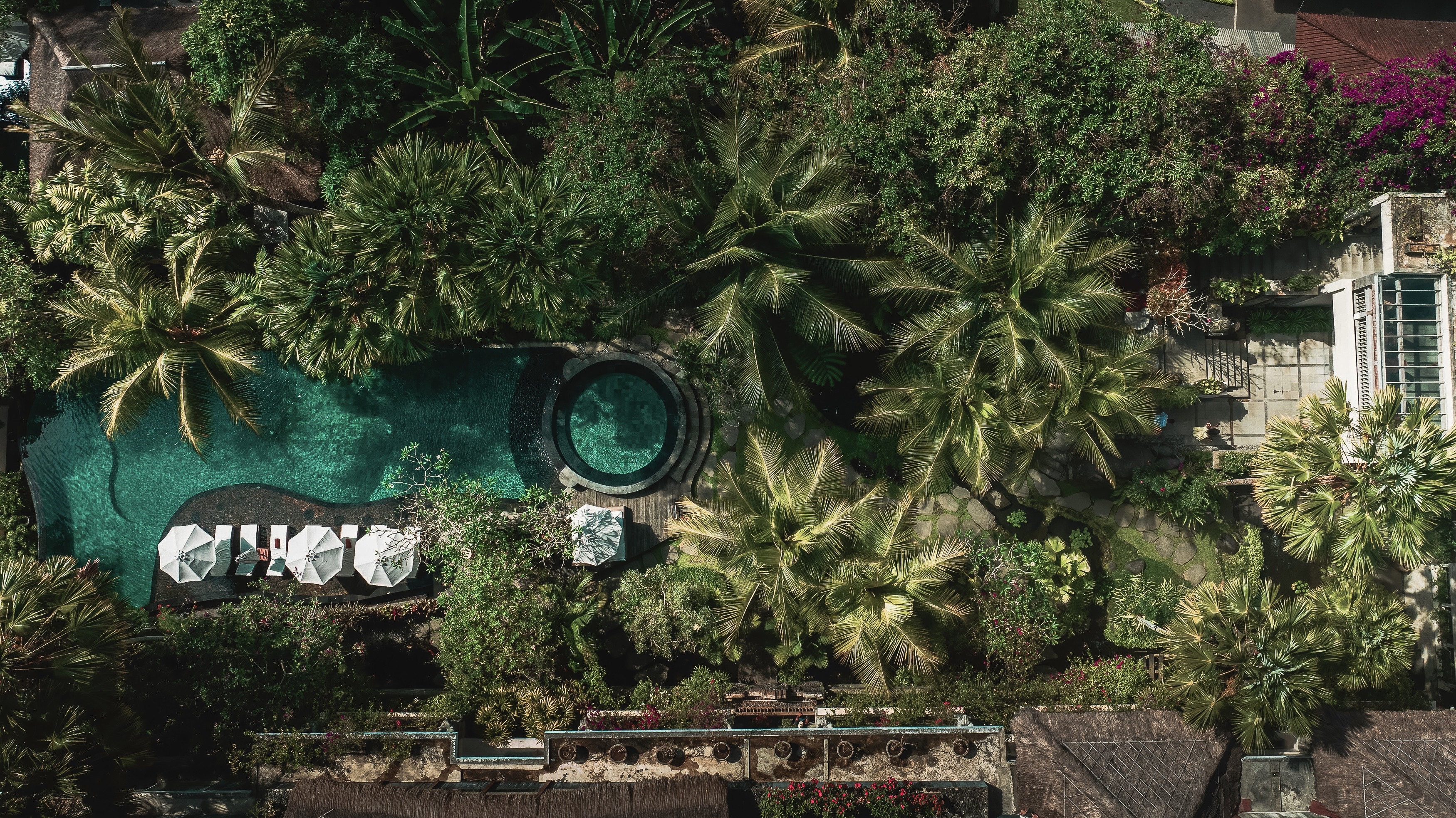 Resort pool from above with umbrellas — assignment photography by Samuel John Ford