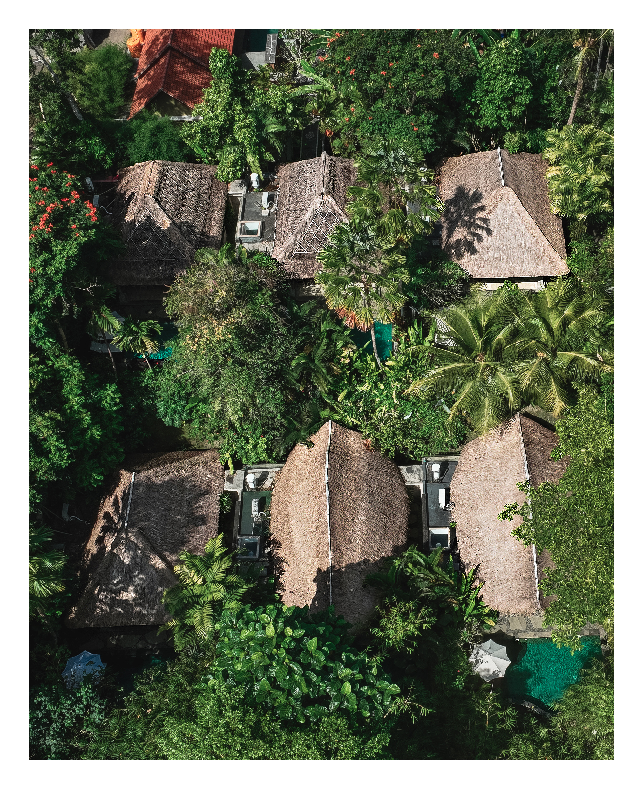 Villa cluster with thatched roofs and plunge pools — resort photography by Samuel John Ford