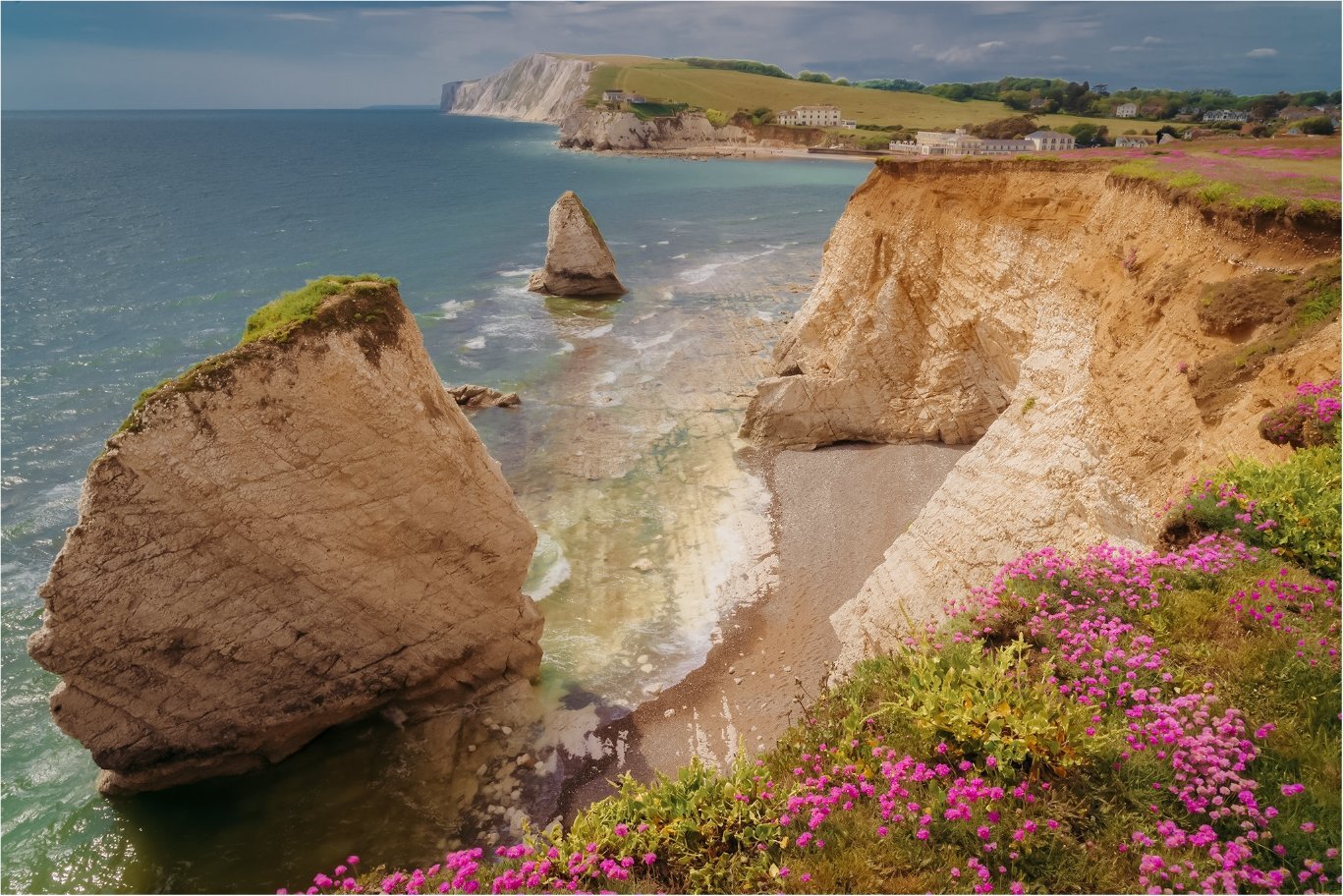 Freshwater Bay coastline with pink thrift flowers and distant white cliffs, Isle of Wight — landscape photography by Samuel John Ford