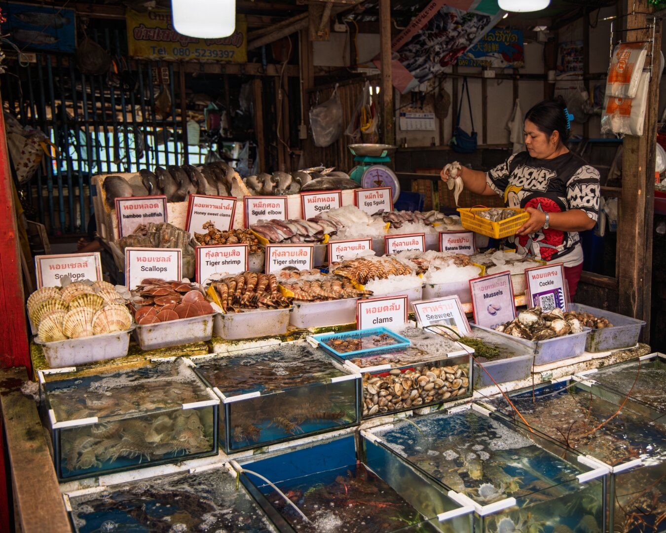 Seafood market stall with scallops, tiger shrimp, squid, clams and mussels in labelled trays, Thailand — food photography